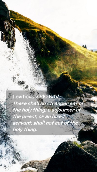 Picture 02 - Leviticus 22:10 KJV Mobile Phone Wallpaper - There shall no stranger eat of the holy thing: a - Mobile Bible Verse Wallpaper