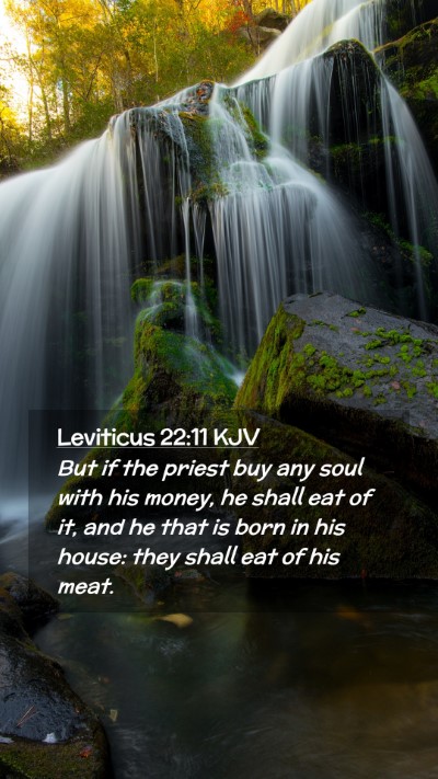 Picture 02 - Leviticus 22:11 KJV Mobile Phone Wallpaper - But if the priest buy any soul with his money, he - Mobile Bible Verse Wallpaper