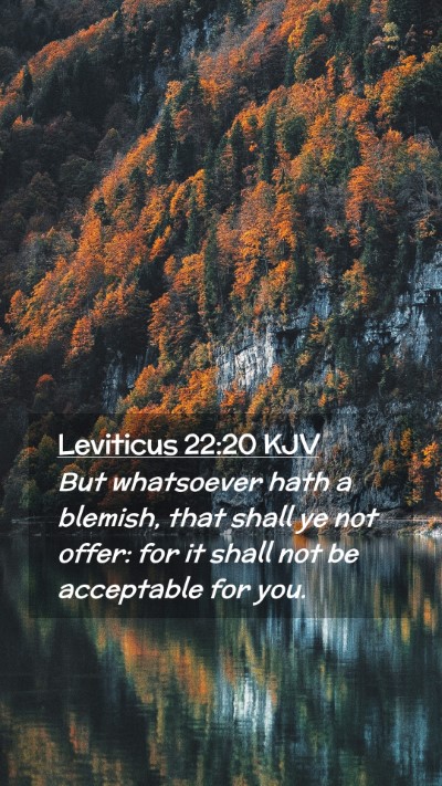 Picture 02 - Leviticus 22:20 KJV Mobile Phone Wallpaper - But whatsoever hath a blemish, that shall ye not - Mobile Bible Verse Wallpaper