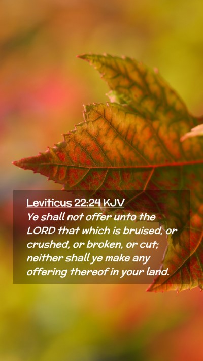 Picture 02 - Leviticus 22:24 KJV Mobile Phone Wallpaper - Ye shall not offer unto the LORD that which is - Mobile Bible Verse Wallpaper