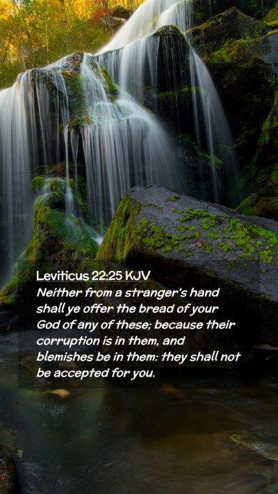 Picture 02 - Leviticus 22:25 KJV Mobile Phone Wallpaper - Neither from a stranger's hand shall ye offer the - Mobile Bible Verse Wallpaper