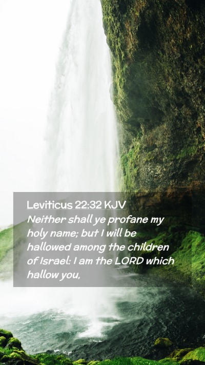 Picture 02 - Leviticus 22:32 KJV Mobile Phone Wallpaper - Neither shall ye profane my holy name; but I will - Mobile Bible Verse Wallpaper