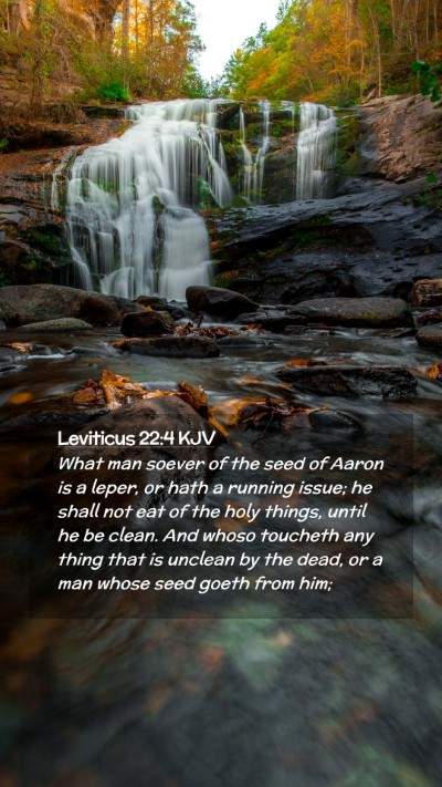 Picture 02 - Leviticus 22:4 KJV Mobile Phone Wallpaper - What man soever of the seed of Aaron is a leper, - Mobile Bible Verse Wallpaper