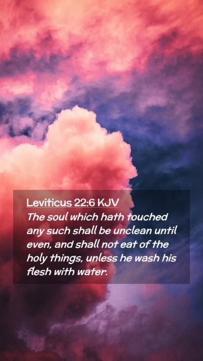 Picture 02 - Leviticus 22:6 KJV Mobile Phone Wallpaper - The soul which hath touched any such shall be - Mobile Bible Verse Wallpaper