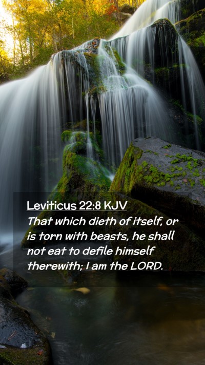 Picture 02 - Leviticus 22:8 KJV Mobile Phone Wallpaper - That which dieth of itself, or is torn with - Mobile Bible Verse Wallpaper