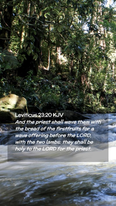 Picture 02 - Leviticus 23:20 KJV Mobile Phone Wallpaper - And the priest shall wave them with the bread of - Mobile Bible Verse Wallpaper