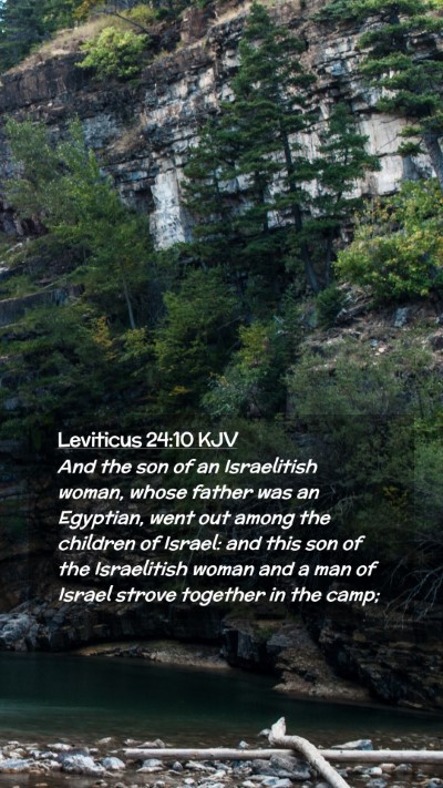 Picture 02 - Leviticus 24:10 KJV Mobile Phone Wallpaper - And the son of an Israelitish woman, whose father - Mobile Bible Verse Wallpaper