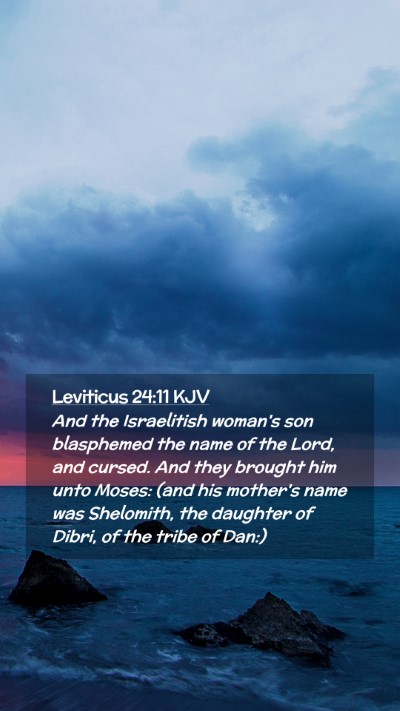 Picture 02 - Leviticus 24:11 KJV Mobile Phone Wallpaper - And the Israelitish woman's son blasphemed the - Mobile Bible Verse Wallpaper