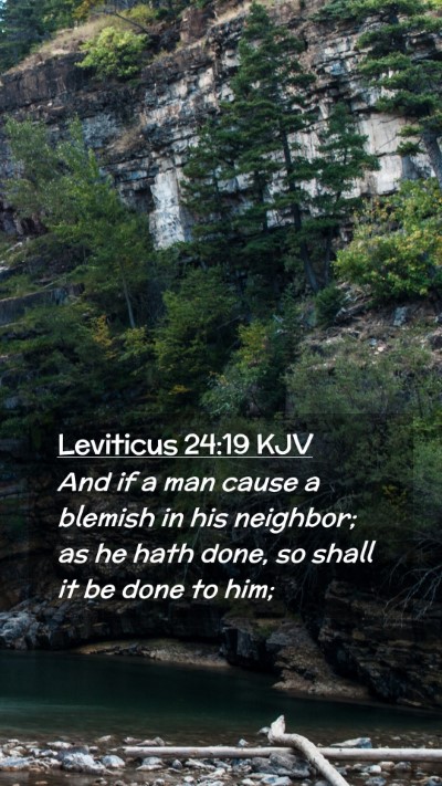 Picture 02 - Leviticus 24:19 KJV Mobile Phone Wallpaper - And if a man cause a blemish in his neighbor; as - Mobile Bible Verse Wallpaper