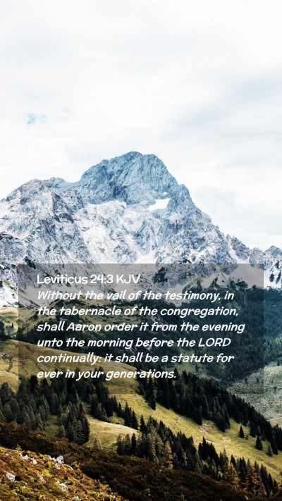Picture 02 - Leviticus 24:3 KJV Mobile Phone Wallpaper - Without the vail of the testimony, in the - Mobile Bible Verse Wallpaper