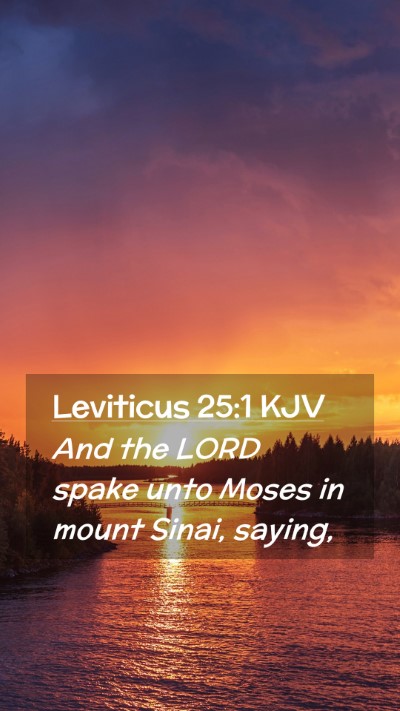 Picture 02 - Leviticus 25:1 KJV Mobile Phone Wallpaper - And the LORD spake unto Moses in mount Sinai, - Mobile Bible Verse Wallpaper