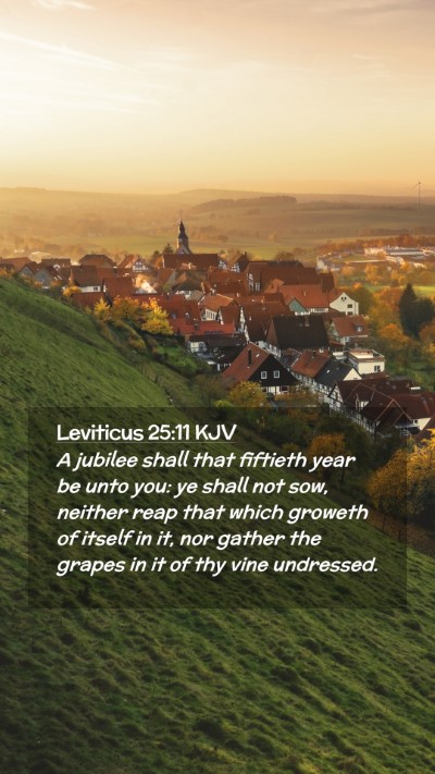 Picture 02 - Leviticus 25:11 KJV Mobile Phone Wallpaper - A jubilee shall that fiftieth year be unto you: - Mobile Bible Verse Wallpaper