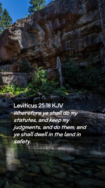 Picture 02 - Leviticus 25:18 KJV Mobile Phone Wallpaper - Wherefore ye shall do my statutes, and keep my - Mobile Bible Verse Wallpaper