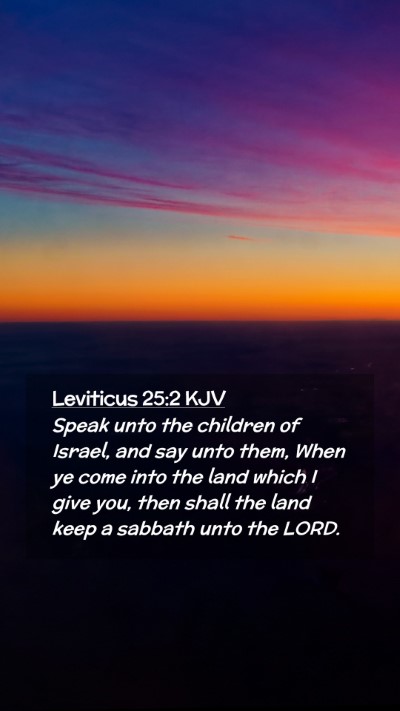 Picture 02 - Leviticus 25:2 KJV Mobile Phone Wallpaper - Speak unto the children of Israel, and say unto - Mobile Bible Verse Wallpaper