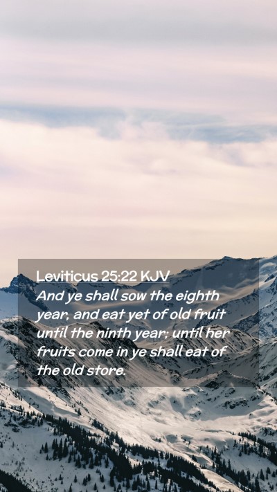 Picture 02 - Leviticus 25:22 KJV Mobile Phone Wallpaper - And ye shall sow the eighth year, and eat yet of - Mobile Bible Verse Wallpaper