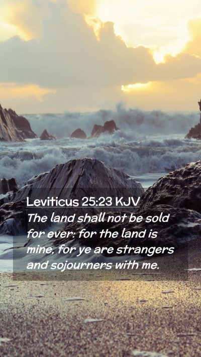 Picture 02 - Leviticus 25:23 KJV Mobile Phone Wallpaper - The land shall not be sold for ever: for the land - Mobile Bible Verse Wallpaper