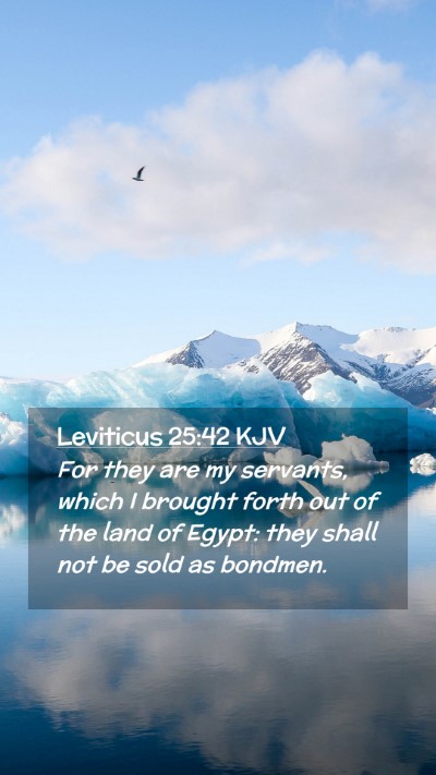 Picture 02 - Leviticus 25:42 KJV Mobile Phone Wallpaper - For they are my servants, which I brought forth - Mobile Bible Verse Wallpaper