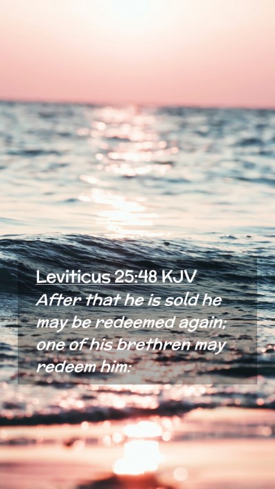 Picture 02 - Leviticus 25:48 KJV Mobile Phone Wallpaper - After that he is sold he may be redeemed again; - Mobile Bible Verse Wallpaper