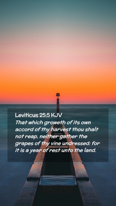 Picture 02 - Leviticus 25:5 KJV Mobile Phone Wallpaper - That which groweth of its own accord of thy - Mobile Bible Verse Wallpaper