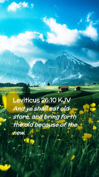 Picture 02 - Leviticus 26:10 KJV Mobile Phone Wallpaper - And ye shall eat old store, and bring forth the - Mobile Bible Verse Wallpaper