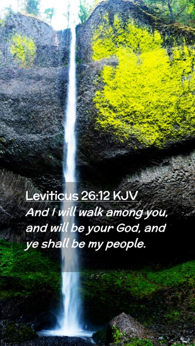 Picture 02 - Leviticus 26:12 KJV Mobile Phone Wallpaper - And I will walk among you, and will be your God, - Mobile Bible Verse Wallpaper