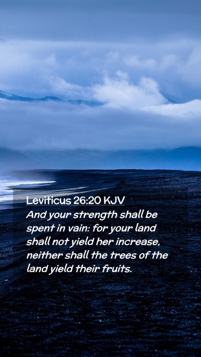 Picture 02 - Leviticus 26:20 KJV Mobile Phone Wallpaper - And your strength shall be spent in vain: for - Mobile Bible Verse Wallpaper
