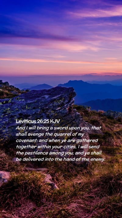 Picture 02 - Leviticus 26:25 KJV Mobile Phone Wallpaper - And I will bring a sword upon you, that shall - Mobile Bible Verse Wallpaper