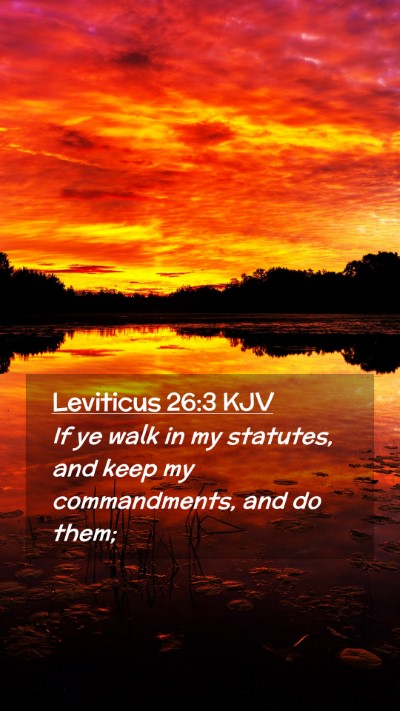 Picture 02 - Leviticus 26:3 KJV Mobile Phone Wallpaper - If ye walk in my statutes, and keep my - Mobile Bible Verse Wallpaper