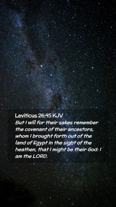 Picture 02 - Leviticus 26:45 KJV Mobile Phone Wallpaper - But I will for their sakes remember the covenant - Mobile Bible Verse Wallpaper