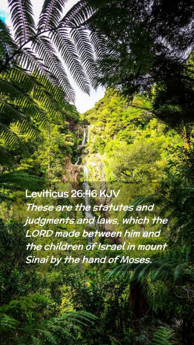 Picture 02 - Leviticus 26:46 KJV Mobile Phone Wallpaper - These are the statutes and judgments and laws, - Mobile Bible Verse Wallpaper