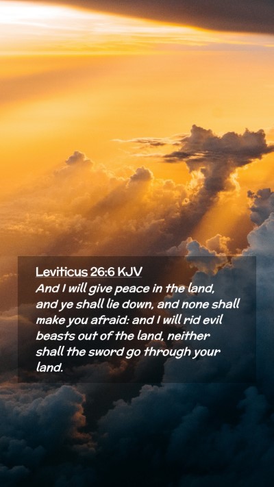 Picture 02 - Leviticus 26:6 KJV Mobile Phone Wallpaper - And I will give peace in the land, and ye shall - Mobile Bible Verse Wallpaper