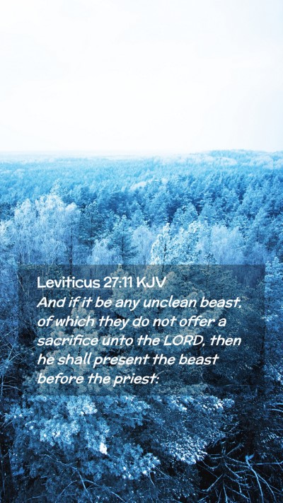 Picture 02 - Leviticus 27:11 KJV Mobile Phone Wallpaper - And if it be any unclean beast, of which they do - Mobile Bible Verse Wallpaper