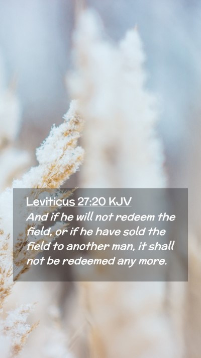 Picture 02 - Leviticus 27:20 KJV Mobile Phone Wallpaper - And if he will not redeem the field, or if he - Mobile Bible Verse Wallpaper
