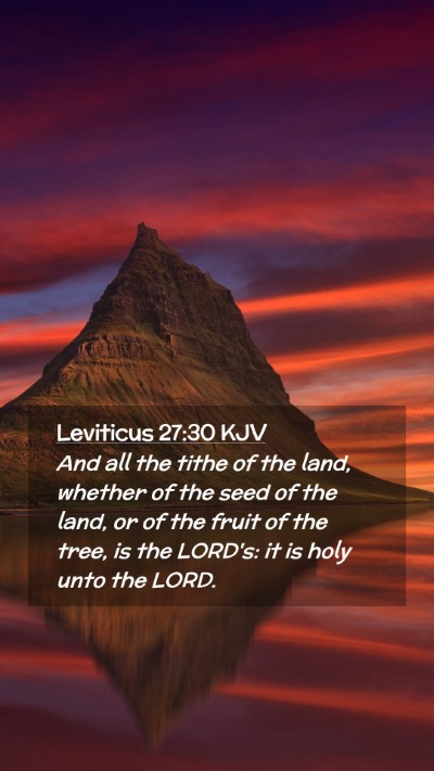 Picture 02 - Leviticus 27:30 KJV Mobile Phone Wallpaper - And all the tithe of the land, whether of the - Mobile Bible Verse Wallpaper