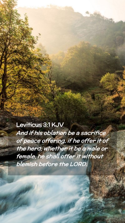 Picture 02 - Leviticus 3:1 KJV Mobile Phone Wallpaper - And if his oblation be a sacrifice of peace - Mobile Bible Verse Wallpaper