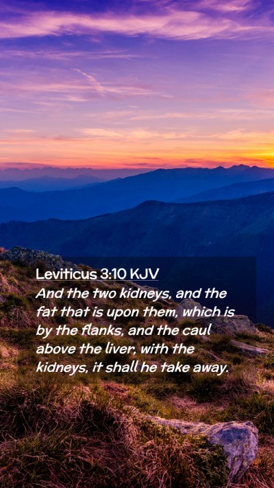 Picture 02 - Leviticus 3:10 KJV Mobile Phone Wallpaper - And the two kidneys, and the fat that is upon - Mobile Bible Verse Wallpaper