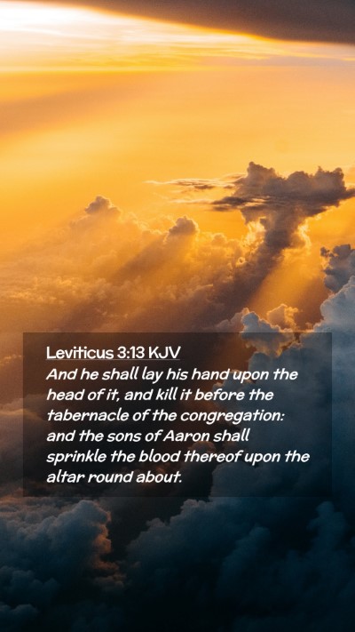 Picture 02 - Leviticus 3:13 KJV Mobile Phone Wallpaper - And he shall lay his hand upon the head of it, - Mobile Bible Verse Wallpaper