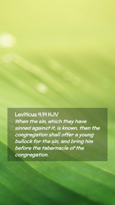 Picture 02 - Leviticus 4:14 KJV Mobile Phone Wallpaper - When the sin, which they have sinned against it, - Mobile Bible Verse Wallpaper