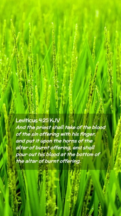 Picture 02 - Leviticus 4:25 KJV Mobile Phone Wallpaper - And the priest shall take of the blood of the sin - Mobile Bible Verse Wallpaper