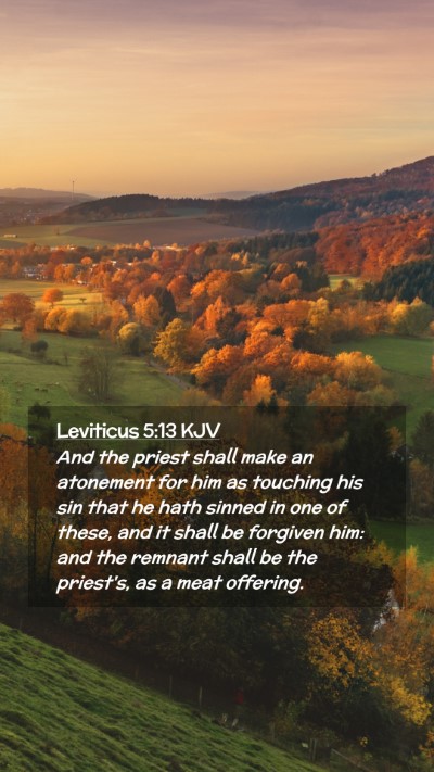 Picture 02 - Leviticus 5:13 KJV Mobile Phone Wallpaper - And the priest shall make an atonement for him as - Mobile Bible Verse Wallpaper