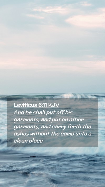 Picture 02 - Leviticus 6:11 KJV Mobile Phone Wallpaper - And he shall put off his garments, and put on - Mobile Bible Verse Wallpaper