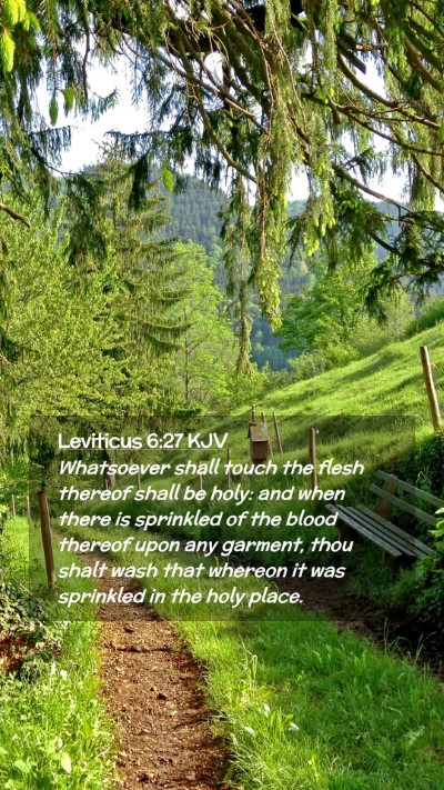 Picture 02 - Leviticus 6:27 KJV Mobile Phone Wallpaper - Whatsoever shall touch the flesh thereof shall be - Mobile Bible Verse Wallpaper