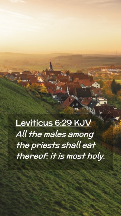 Picture 02 - Leviticus 6:29 KJV Mobile Phone Wallpaper - All the males among the priests shall eat - Mobile Bible Verse Wallpaper