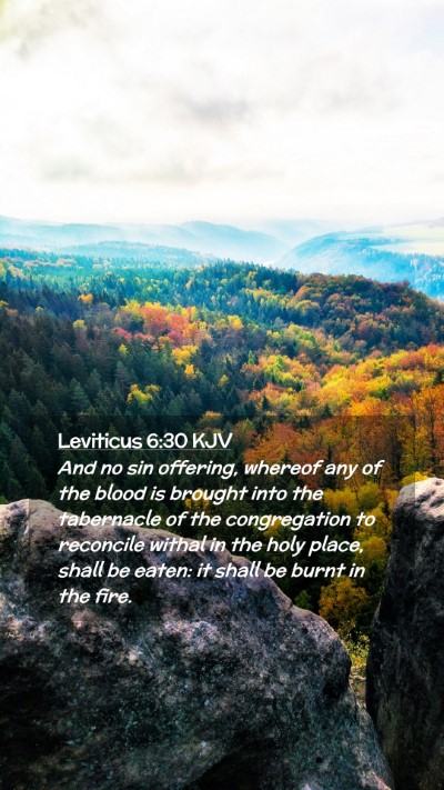 Picture 02 - Leviticus 6:30 KJV Mobile Phone Wallpaper - And no sin offering, whereof any of the blood is - Mobile Bible Verse Wallpaper
