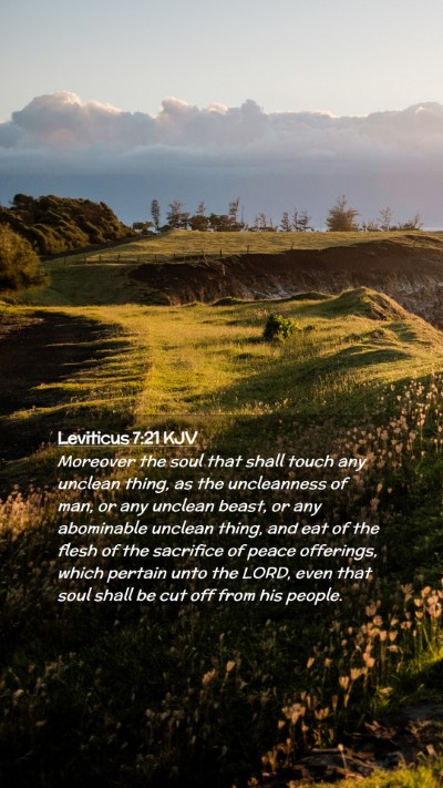 Picture 02 - Leviticus 7:21 KJV Mobile Phone Wallpaper - Moreover the soul that shall touch any unclean - Mobile Bible Verse Wallpaper