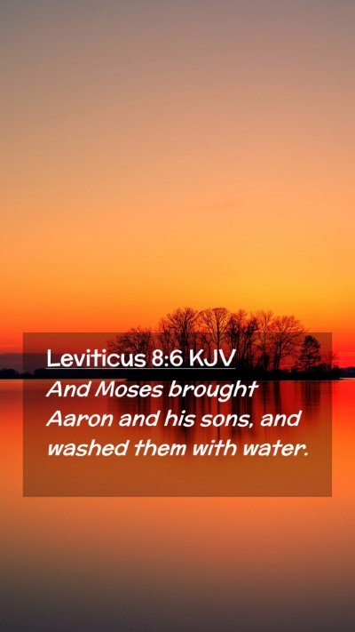 Picture 02 - Leviticus 8:6 KJV Mobile Phone Wallpaper - And Moses brought Aaron and his sons, and washed - Mobile Bible Verse Wallpaper