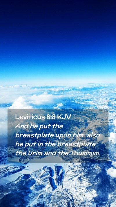 Picture 02 - Leviticus 8:8 KJV Mobile Phone Wallpaper - And he put the breastplate upon him: also he put - Mobile Bible Verse Wallpaper