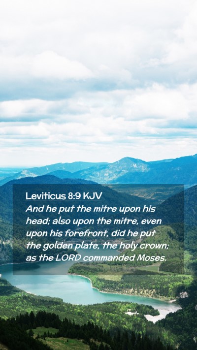 Picture 02 - Leviticus 8:9 KJV Mobile Phone Wallpaper - And he put the mitre upon his head; also upon the - Mobile Bible Verse Wallpaper
