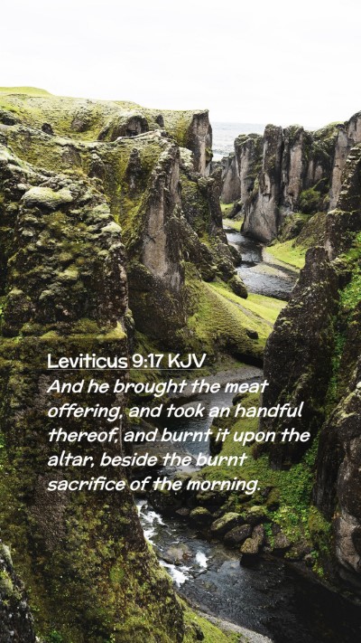 Picture 02 - Leviticus 9:17 KJV Mobile Phone Wallpaper - And he brought the meat offering, and took an - Mobile Bible Verse Wallpaper