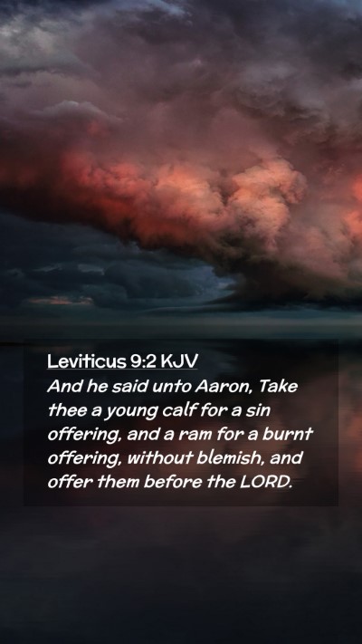 Picture 02 - Leviticus 9:2 KJV Mobile Phone Wallpaper - And he said unto Aaron, Take thee a young calf - Mobile Bible Verse Wallpaper